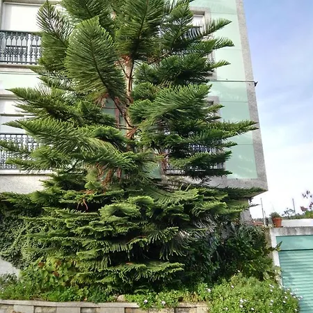 Pisos Vistalegre 2b Con Jardin Cerca Del Mar Appartement