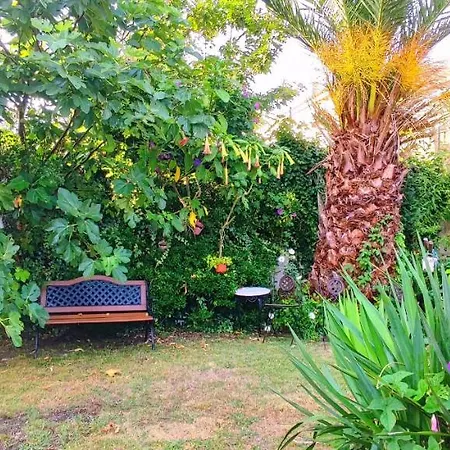 Pisos Vistalegre 2b Con Jardin Cerca Del Mar