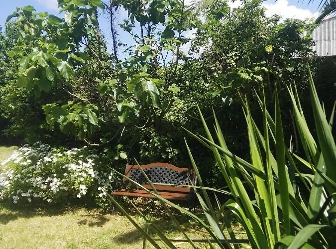 公寓 Pisos Vistalegre 2b Con Jardin Cerca Del Mar *