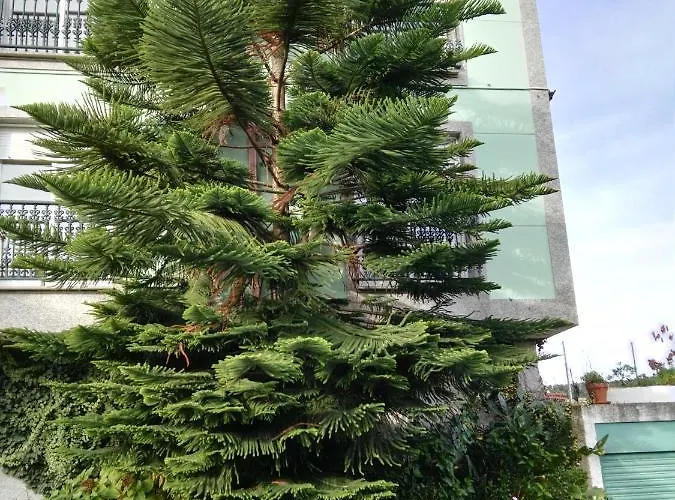 Pisos Vistalegre 2b Con Jardin Cerca Del Mar 公寓